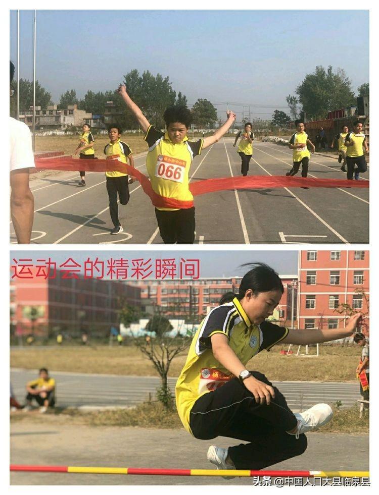 临泉杨小街最新动态更新，最新消息汇总