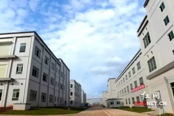 浏阳蓝思科技最新招聘信息发布