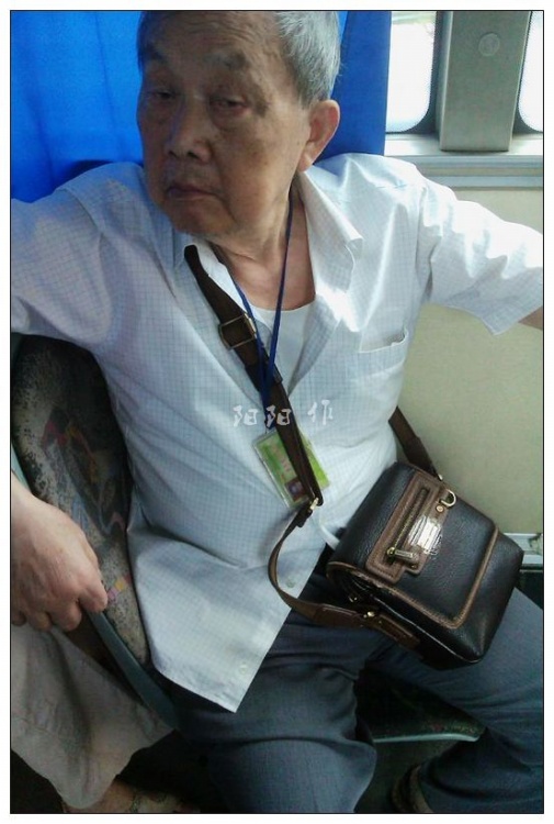小巷深处的神秘小店，最新恋老小说大揭秘