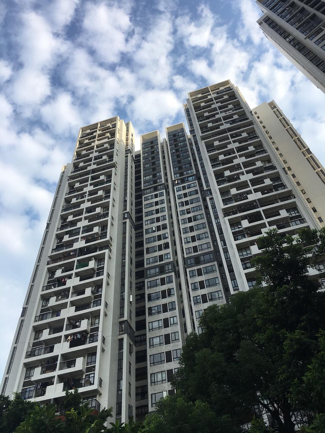 广州东湖映月最新房价揭秘，自然美景与居住空间的完美融合之旅
