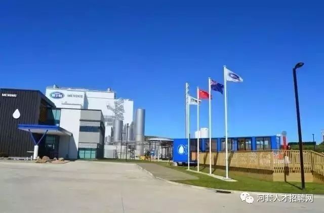 巴彦网最新招聘信息全解析及求职指南